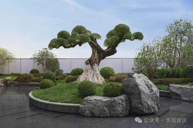 现王！狮山「安雲180」惊爆开卷！尊龙凯时app苏州神盘！360°兑(图2)